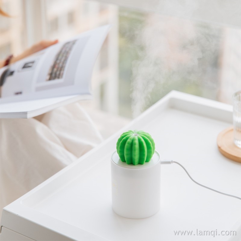 仙人掌夜灯加湿器